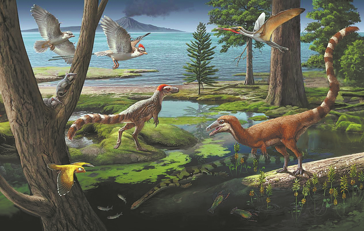 New dinosaur species identified in Liaoning