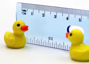 text