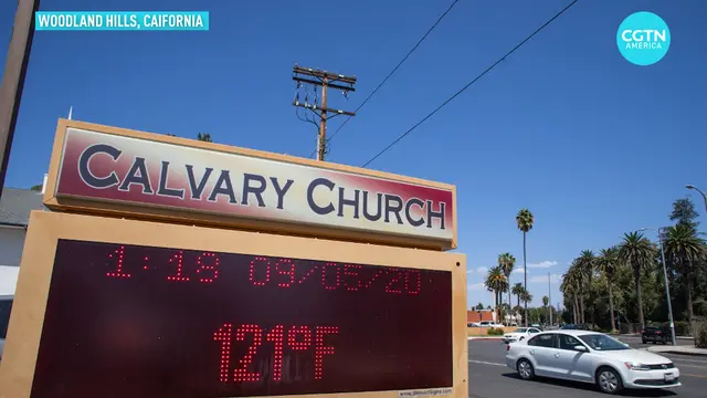 text