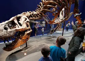 text