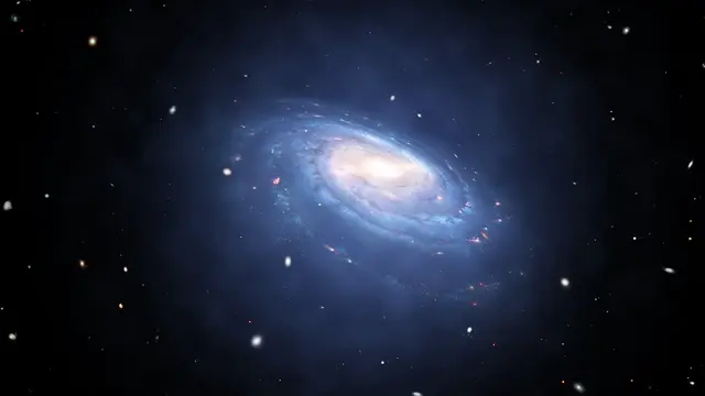 text