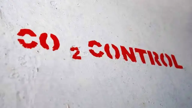 text