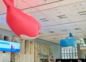 text