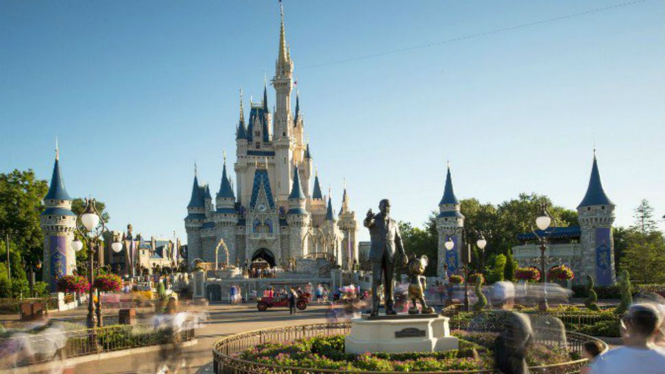 n13_magic_kingdom_disney_world.jpg