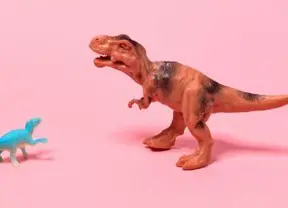 text