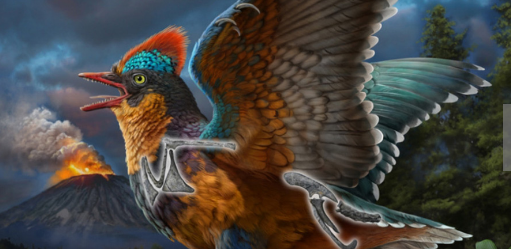 Science Talk: Study says new Jurassic bird fossil is 'missing link'