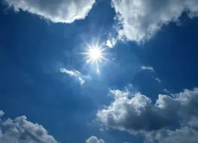 text