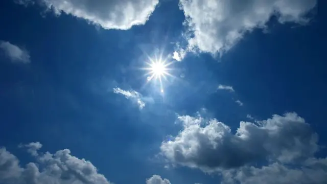text