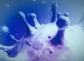 text