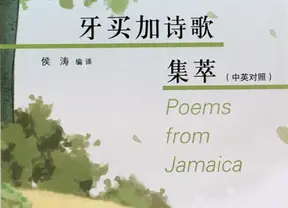 text