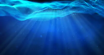 text