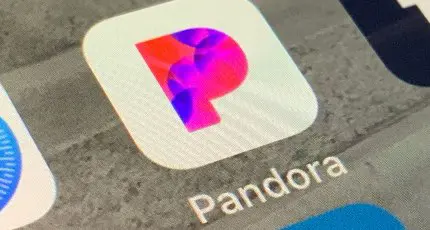 text