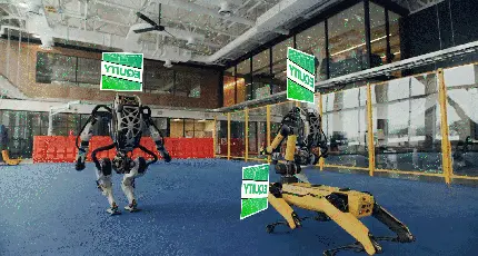 text
