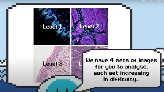 text