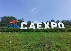 text
