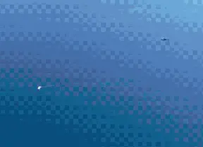 text