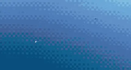 text