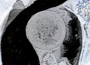 text