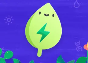 text
