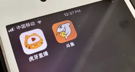 text