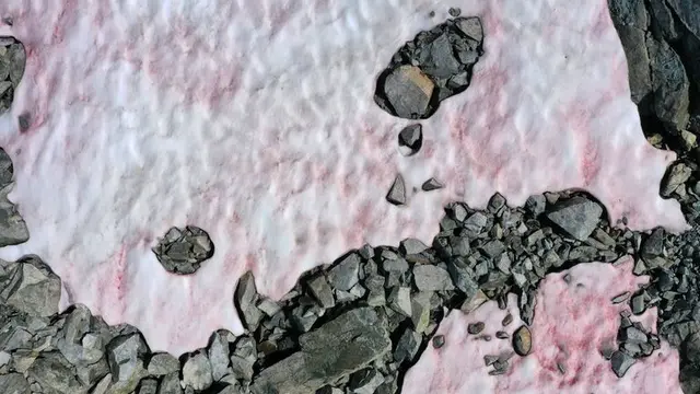 text