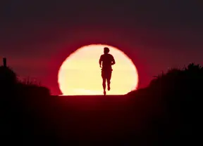 text