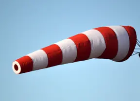 text