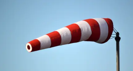 text