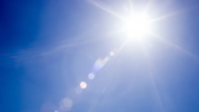 text